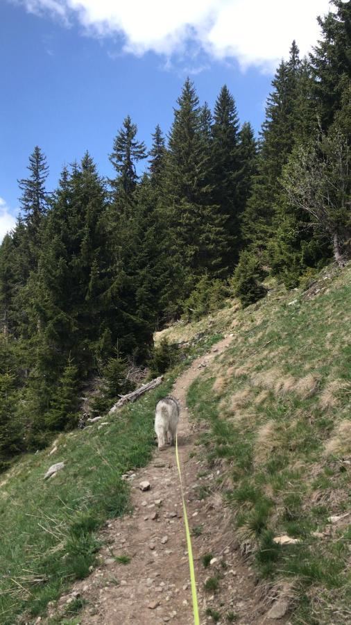 Ferienwohnung Uf Z'Enisch Klosters Exterior foto